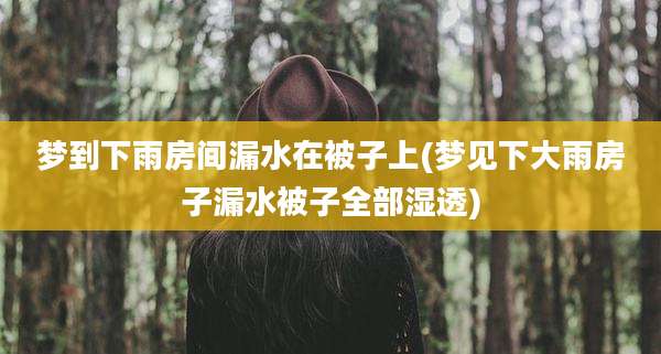梦到下雨房间漏水在被子上(梦见下大雨房子漏水被子全部湿透)
