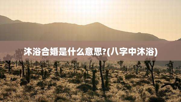 沐浴合婚是什么意思?(八字中沐浴)