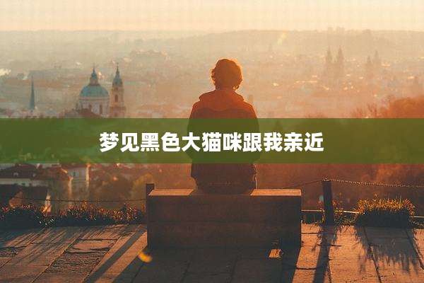 梦见黑色大猫咪跟我亲近