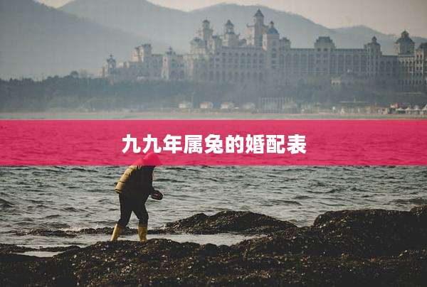 九九年属兔的婚配表