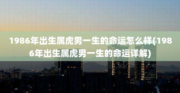 1986年出生属虎男一生的命运怎么样(1986年出生属虎男一生的命运详解)