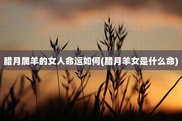 腊月属羊的女人命运如何(腊月羊女是什么命)