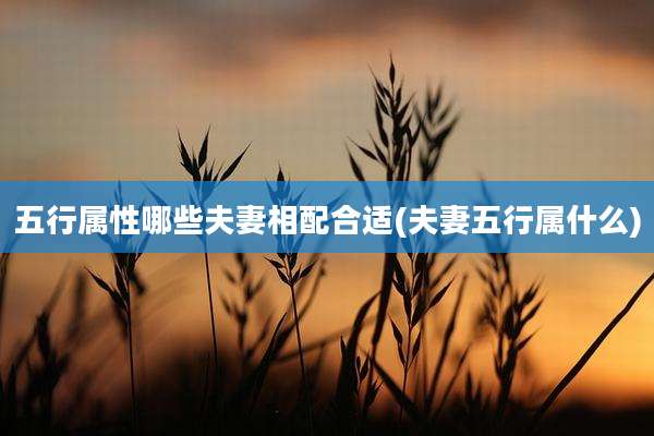 五行属性哪些夫妻相配合适(夫妻五行属什么)