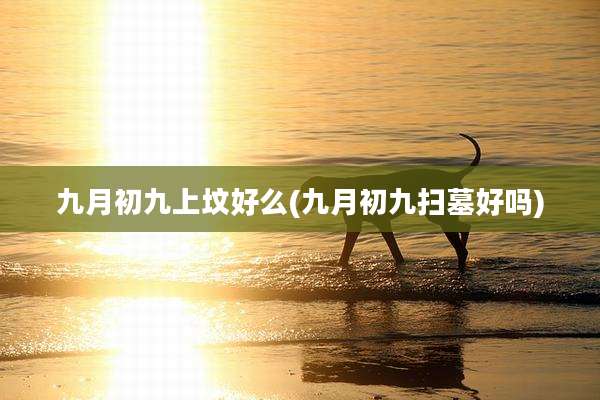 九月初九上坟好么(九月初九扫墓好吗)