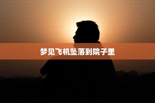 梦见飞机坠落到院子里