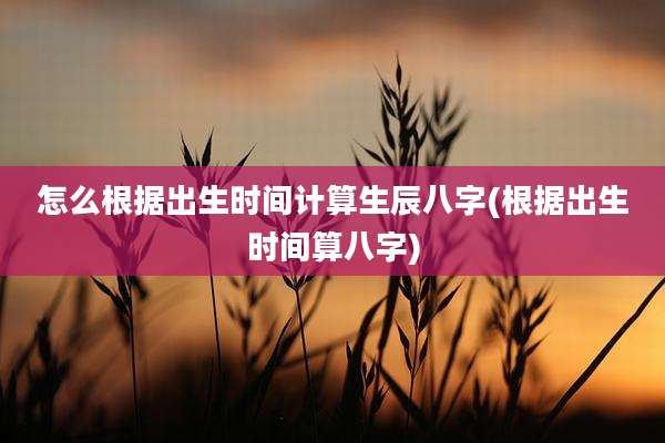 怎么根据出生时间计算生辰八字(根据出生时间算八字)