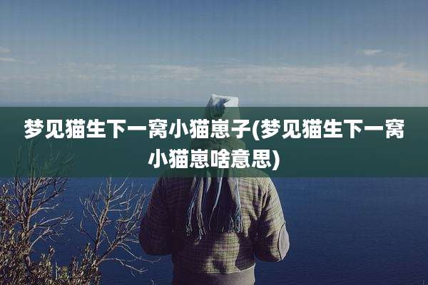 梦见猫生下一窝小猫崽子(梦见猫生下一窝小猫崽啥意思)