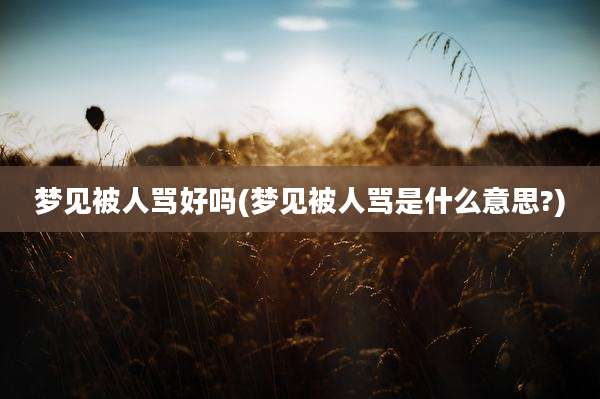 梦见被人骂好吗(梦见被人骂是什么意思?)