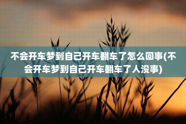 不会开车梦到自己开车翻车了怎么回事(不会开车梦到自己开车翻车了人没事)