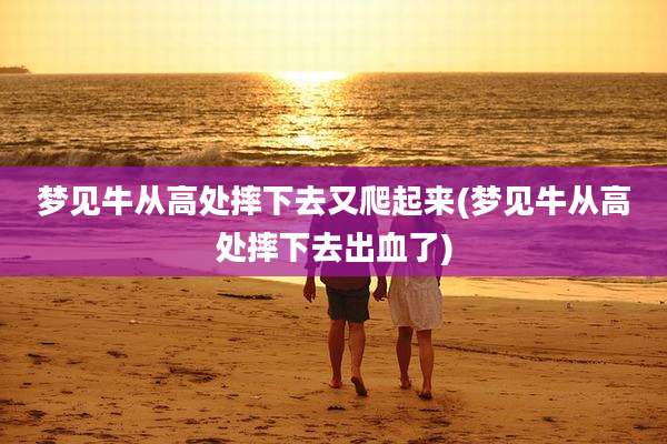梦见牛从高处摔下去又爬起来(梦见牛从高处摔下去出血了)