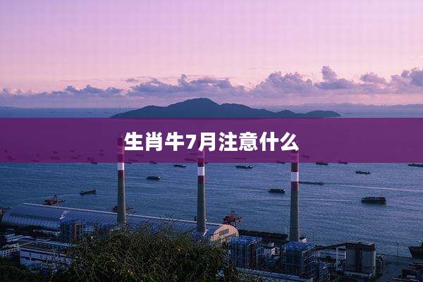 生肖牛7月注意什么