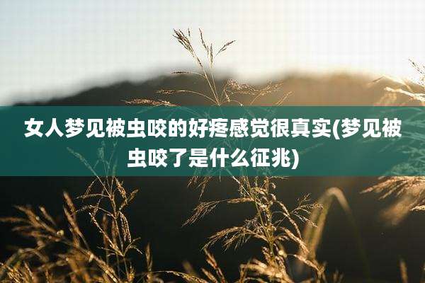 女人梦见被虫咬的好疼感觉很真实(梦见被虫咬了是什么征兆)