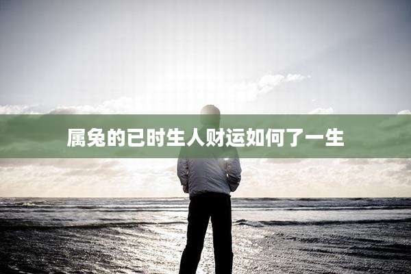 属兔的已时生人财运如何了一生