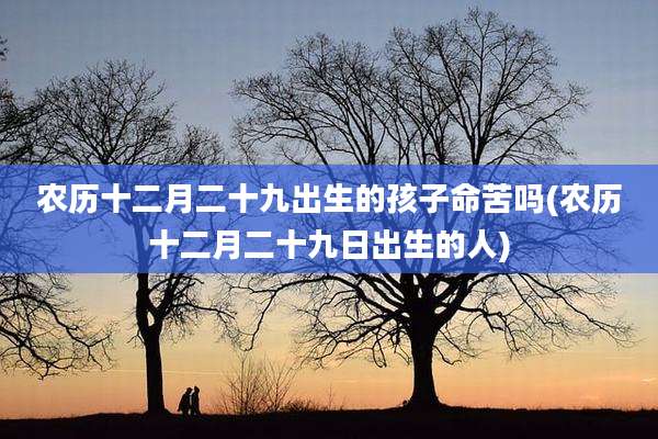 农历十二月二十九出生的孩子命苦吗(农历十二月二十九日出生的人)