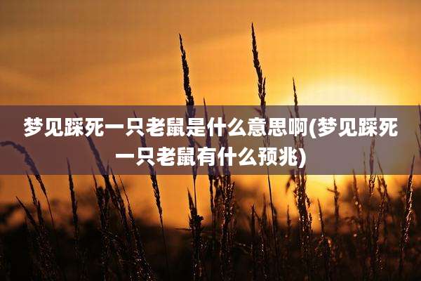 梦见踩死一只老鼠是什么意思啊(梦见踩死一只老鼠有什么预兆)