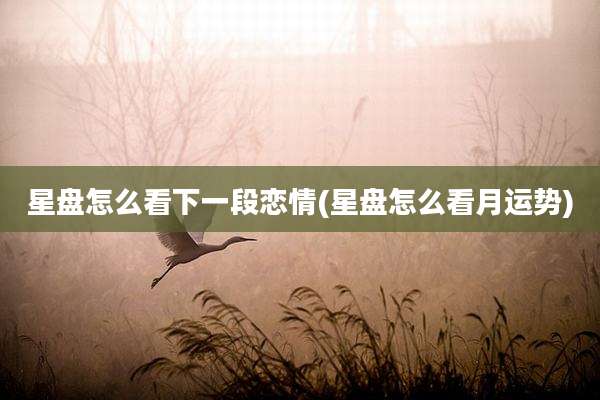星盘怎么看下一段恋情(星盘怎么看月运势)