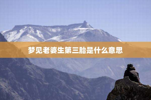 梦见老婆生第三胎是什么意思