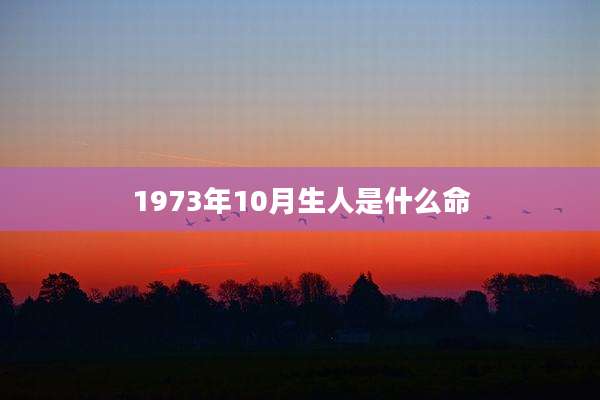 1973年10月生人是什么命