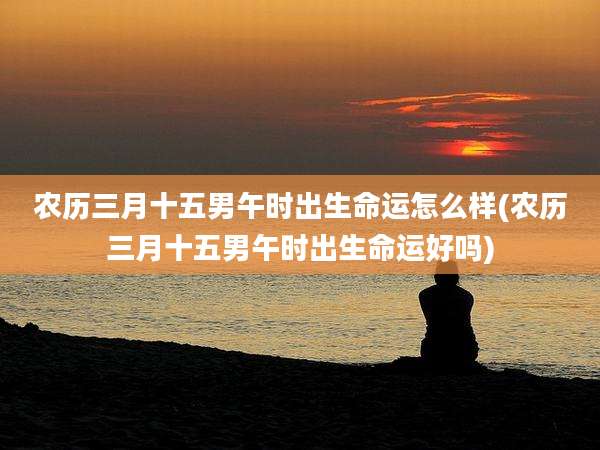 农历三月十五男午时出生命运怎么样(农历三月十五男午时出生命运好吗)