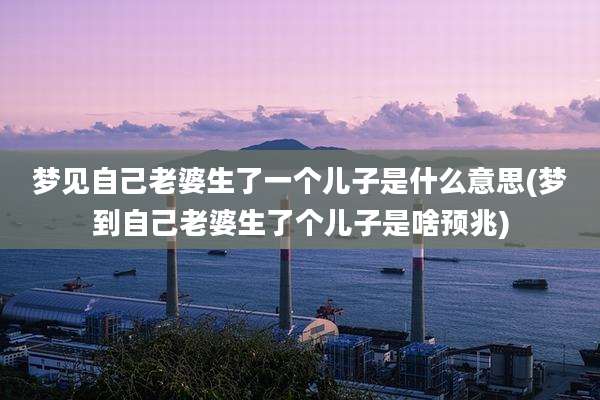 梦见自己老婆生了一个儿子是什么意思(梦到自己老婆生了个儿子是啥预兆)