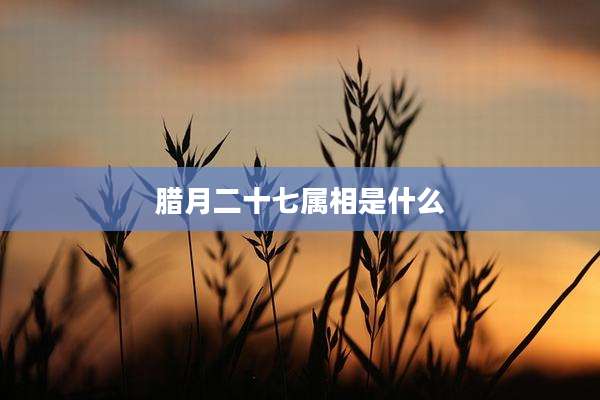 腊月二十七属相是什么