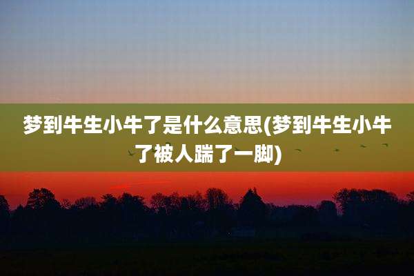 梦到牛生小牛了是什么意思(梦到牛生小牛了被人踹了一脚)