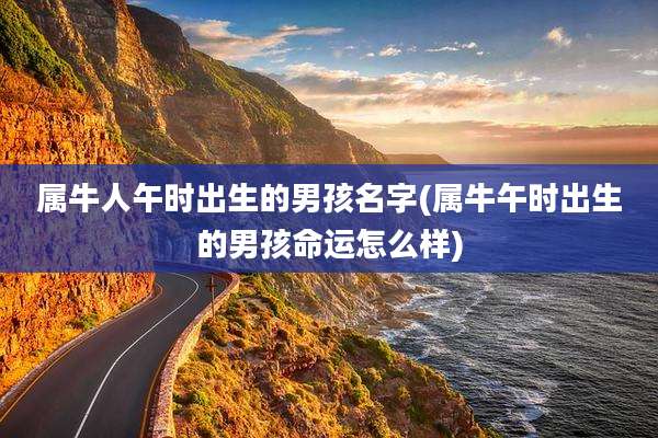 属牛人午时出生的男孩名字(属牛午时出生的男孩命运怎么样)