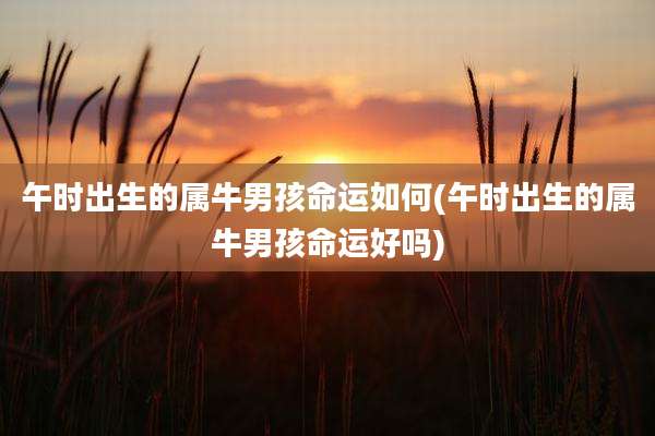 午时出生的属牛男孩命运如何(午时出生的属牛男孩命运好吗)