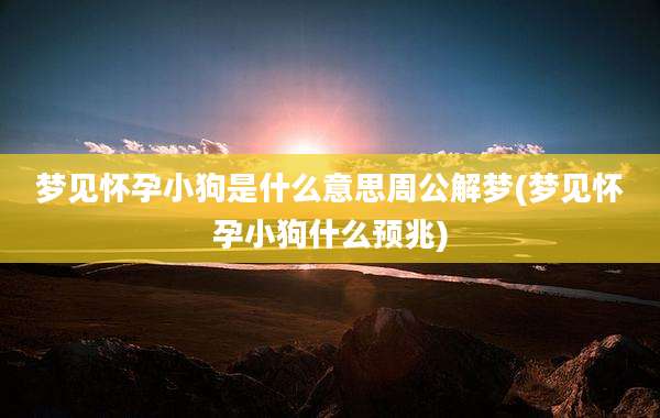 梦见怀孕小狗是什么意思周公解梦(梦见怀孕小狗什么预兆)
