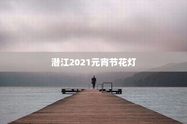 潜江2021元宵节花灯