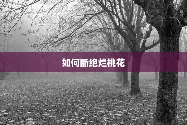 如何断绝烂桃花
