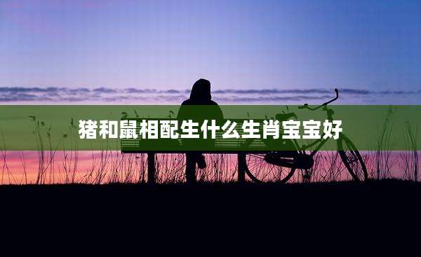 猪和鼠相配生什么生肖宝宝好