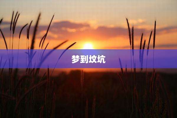 梦到坟坑