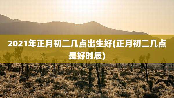 2021年正月初二几点出生好(正月初二几点是好时辰)