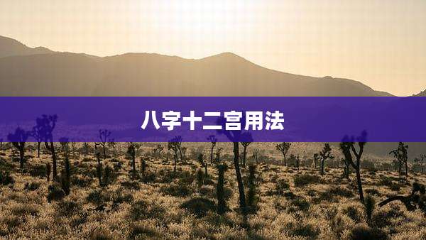八字十二宫用法