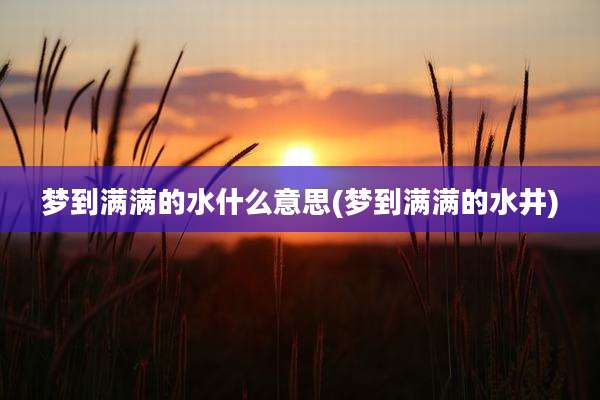 梦到满满的水什么意思(梦到满满的水井)