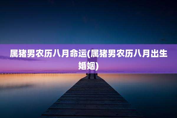 属猪男农历八月命运(属猪男农历八月出生婚姻)