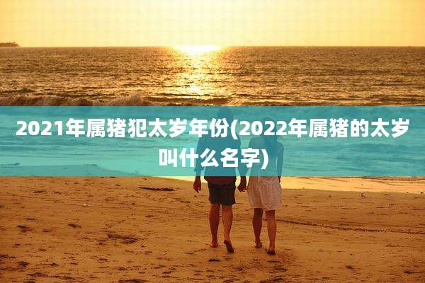 2021年属猪犯太岁年份(2022年属猪的太岁叫什么名字)