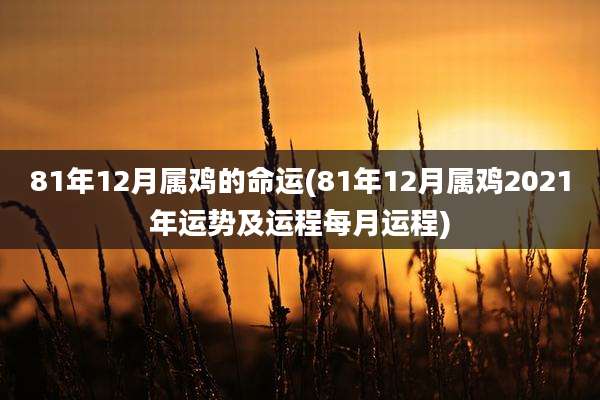 81年12月属鸡的命运(81年12月属鸡2021年运势及运程每月运程)