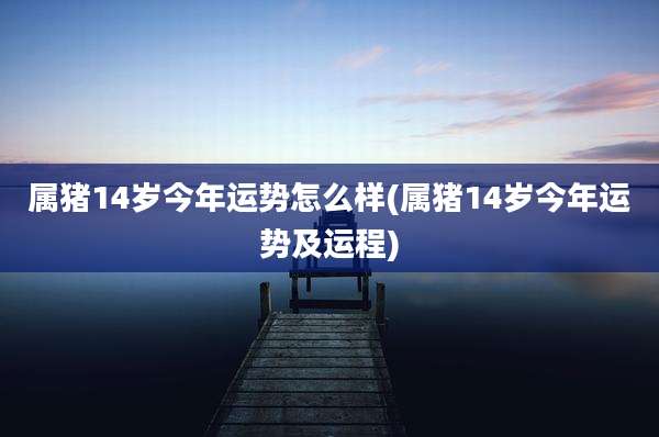 属猪14岁今年运势怎么样(属猪14岁今年运势及运程)