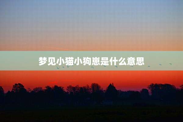 梦见小猫小狗崽是什么意思