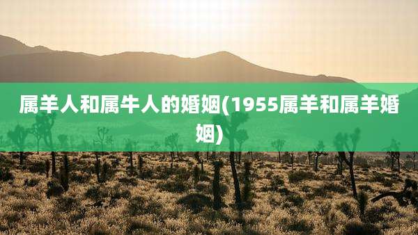 属羊人和属牛人的婚姻(1955属羊和属羊婚姻)