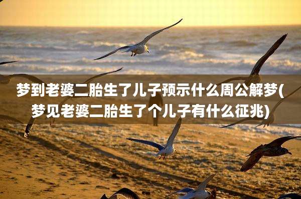 梦到老婆二胎生了儿子预示什么周公解梦(梦见老婆二胎生了个儿子有什么征兆)
