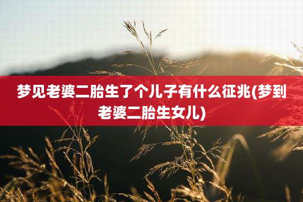 梦见老婆二胎生了个儿子有什么征兆(梦到老婆二胎生女儿)
