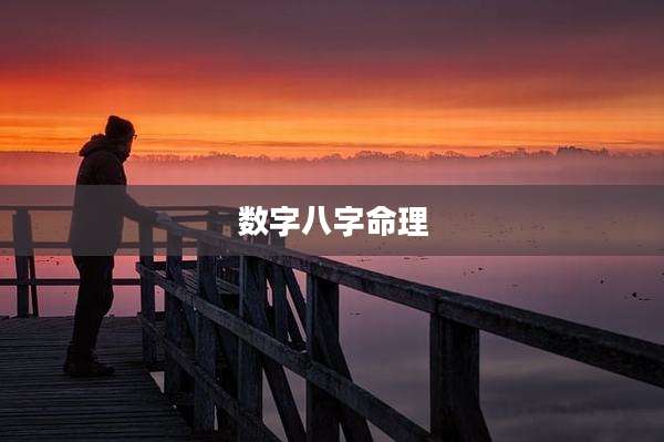 数字八字命理