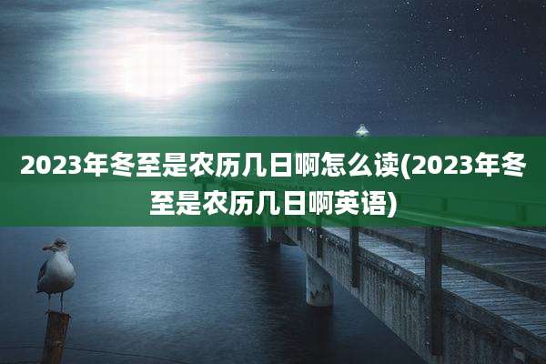 2023年冬至是农历几日啊怎么读(2023年冬至是农历几日啊英语)