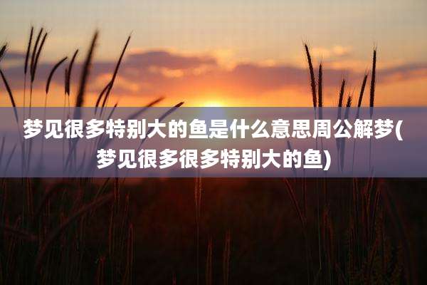 梦见很多特别大的鱼是什么意思周公解梦(梦见很多很多特别大的鱼)
