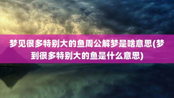 梦见很多特别大的鱼周公解梦是啥意思(梦到很多特别大的鱼是什么意思)