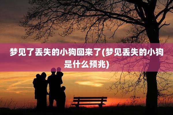 梦见了丢失的小狗回来了(梦见丢失的小狗是什么预兆)