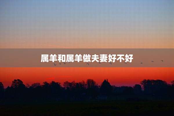 属羊和属羊做夫妻好不好